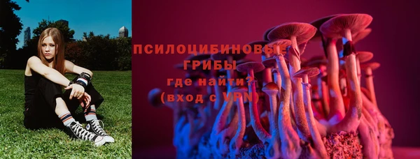 гашик Алзамай