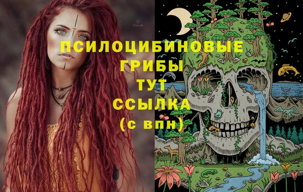 гашик Алзамай