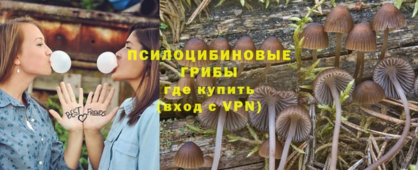 гашик Алзамай