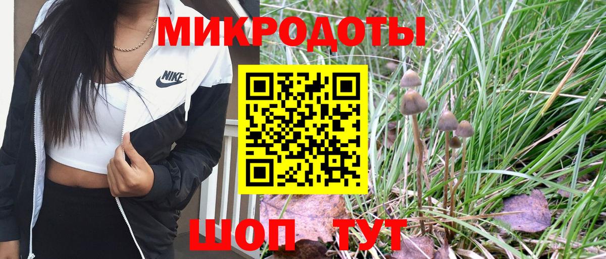 Тверь  Галлюциногенные грибы мицелий  купить закладку  Вход с VPN 