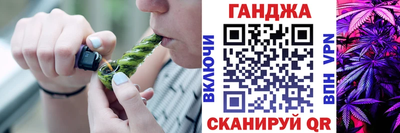 Бошки Шишки планчик Тверь